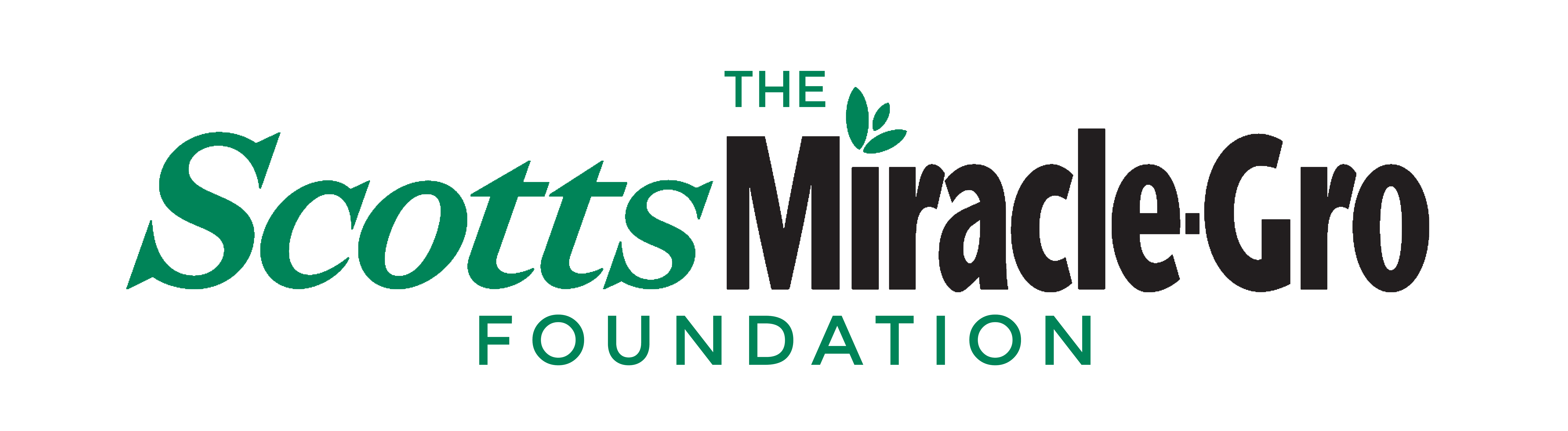 SMG Foundation logo (6)
