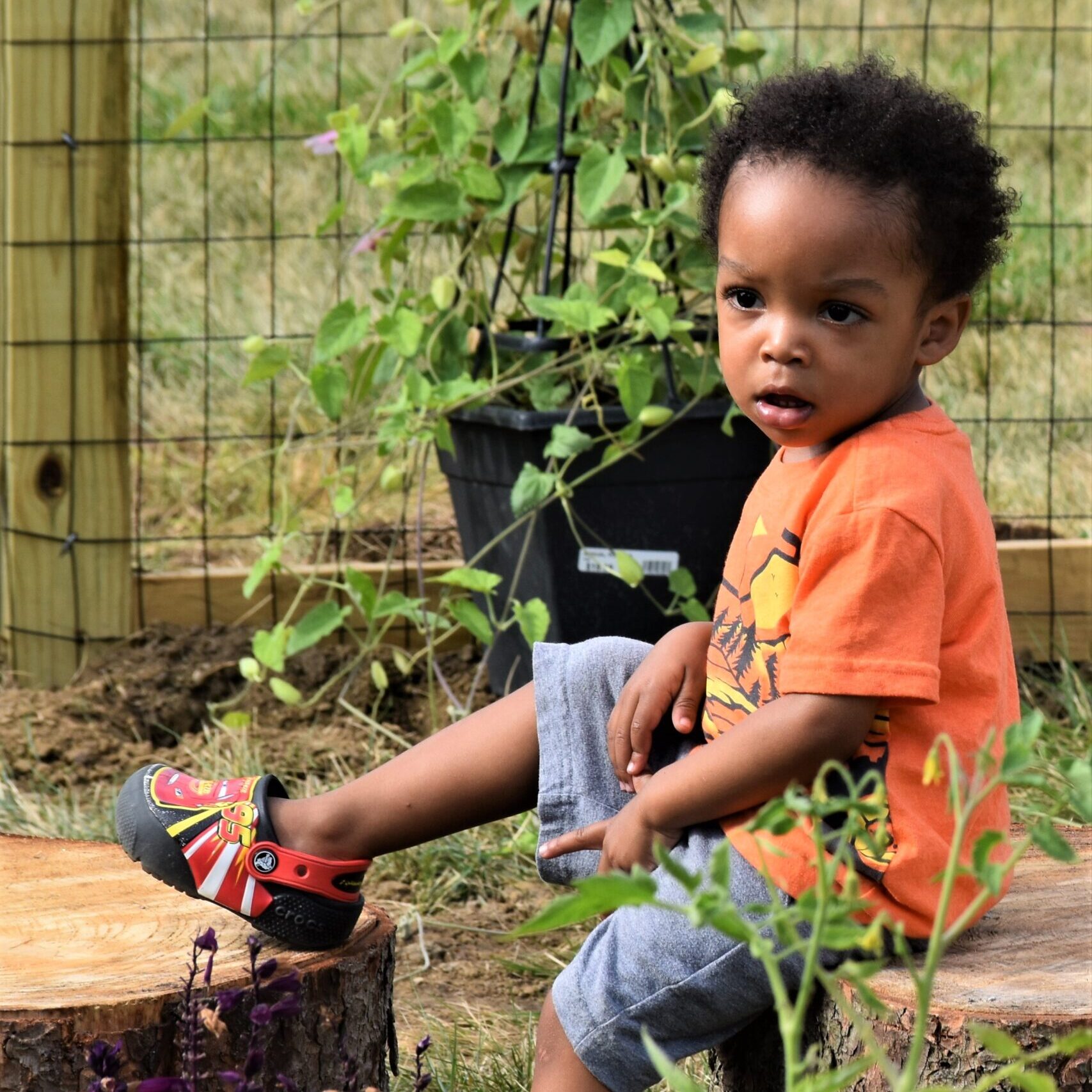 Head Start Gardeners